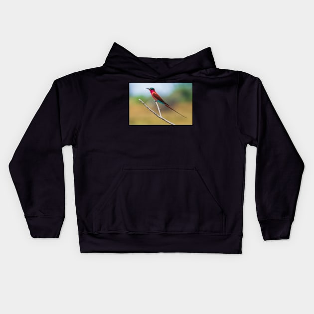 Southern Carmine Bee-eater (Merops nubicoides) Kids Hoodie by njones